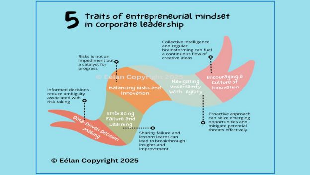 The Entrepreneurial Mindset: Why Today’s  Leaders Must Think Like Founders